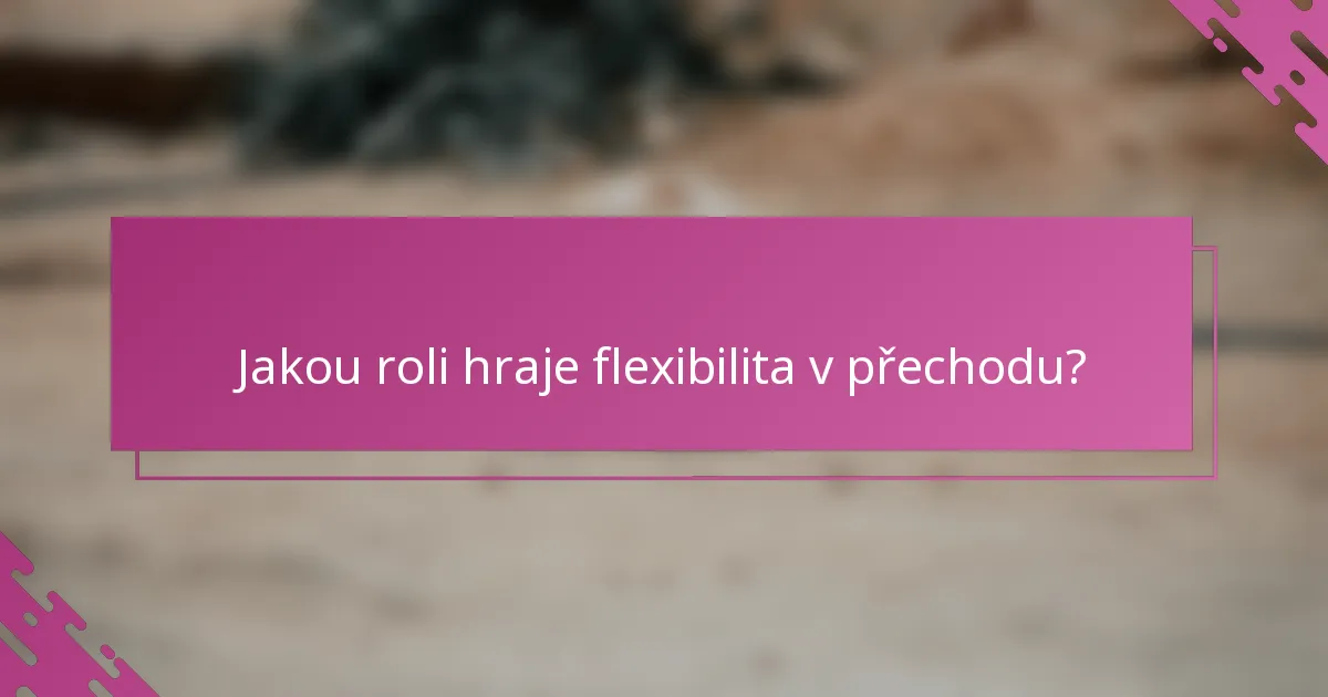 Jakou roli hraje flexibilita v přechodu?